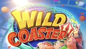 47QQ Wild Coaster
